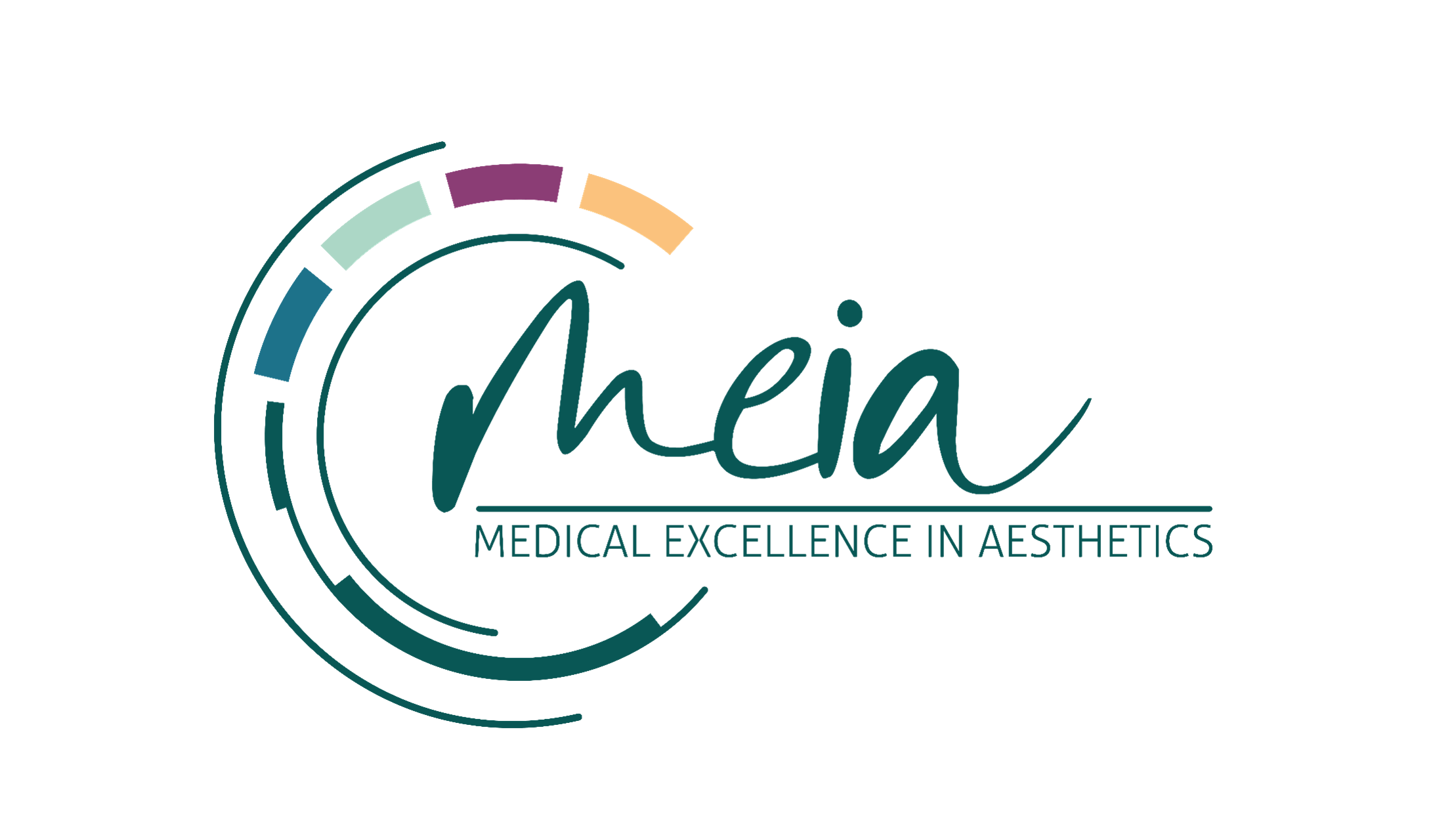 MEIA Logo